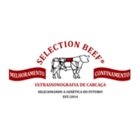 selection beef