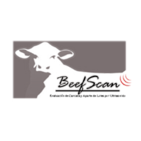 Beef Scan